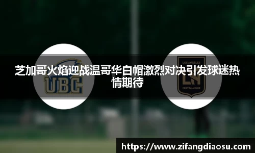 金彩汇官方首页