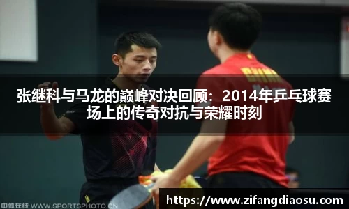 金彩汇官网